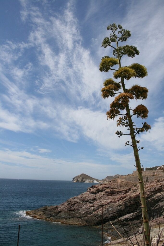 Turalmeria Entorno Cabo de Gata